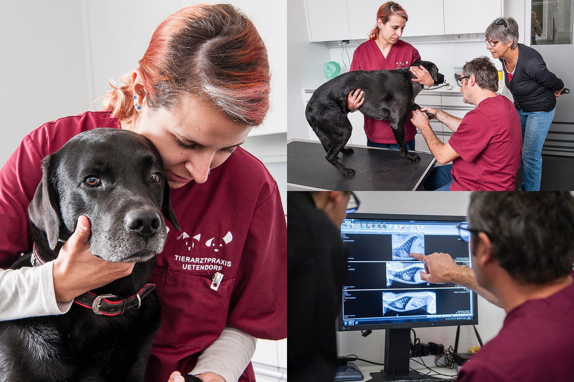 Tierarztpraxis Uetendorf